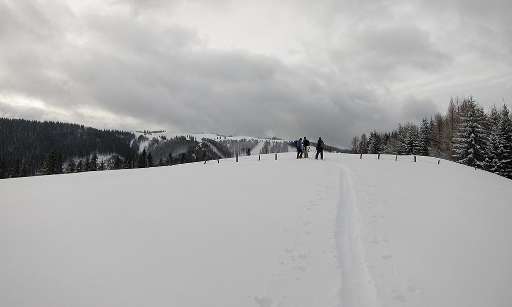 tirolerkogel